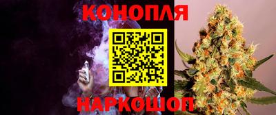 прущие грибы Усть-Джегута