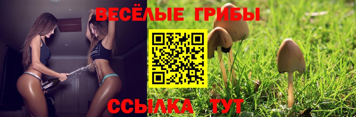 Воткинск  Галлюциногенные грибы MAGIC MUSHROOMS  где купить   Вход с VPN  Галлюциногенные грибы GOLDEN TEACHER 